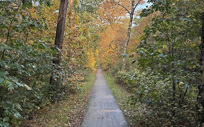 A Dutch bike path in fall. (submitted by J. Anderson)
