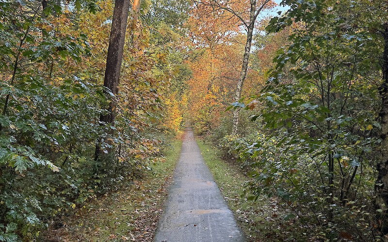 A Dutch bike path in fall. (submitted by J. Anderson)