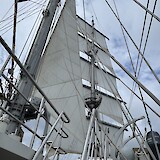  (photo by Bill gallagher)