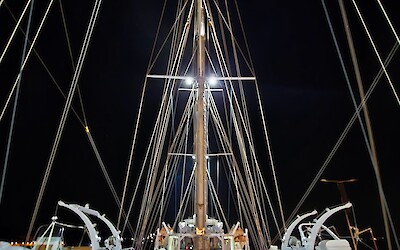 An elegant way to travel (submitted by Don Paine)