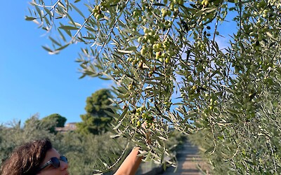 (submitted by Ksenia K.)