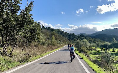 (submitted by Ksenia K.)