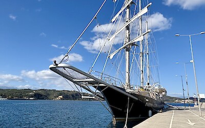 (submitted by Ksenia K.)