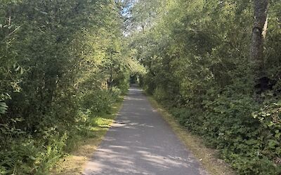 one of many glorious wooded bike paths along your route. (submitted by John W.)