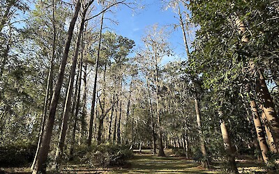 (submitted by Caleb L.)