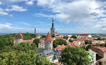 Skyline of the Old Town, Tallinn, Estonia. Unsplash@Karson