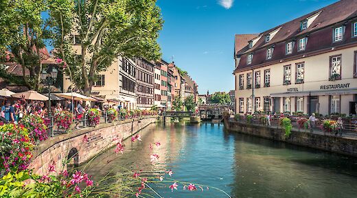Flowers growing by the river in Strasbourg, France. Unsplash@Hugues de Buyer Mimeure
