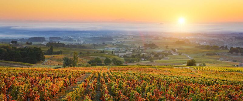 Rolling hills and opulent wines
