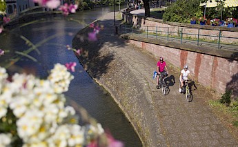 Freiburg & the Alsatian Wine Road