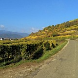 Freiburg & the Alsatian Wine Road