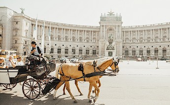 Horse-drawn Carriage Rides in Vienna, Austria. Sandro Gonzalez@Unsplash