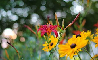 Passau, Germany. Ramitay Yem@Unsplash