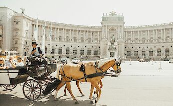 Horse carriage ride, Vienna, Austria. Unsplash:Sandro Gonzalez