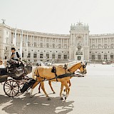 Horseback Carriage Rides in Vienna, Austria. Sandro Gonzalez@Unsplash