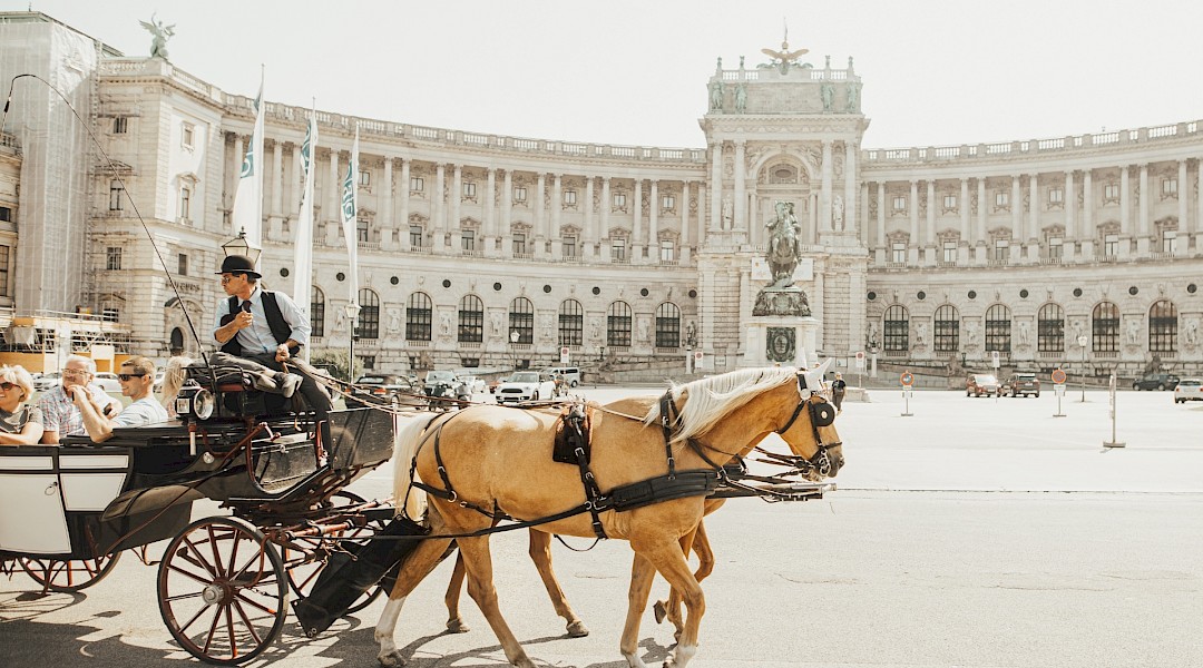 Horseback Carriage Rides in Vienna, Austria. Sandro Gonzalez@Unsplash