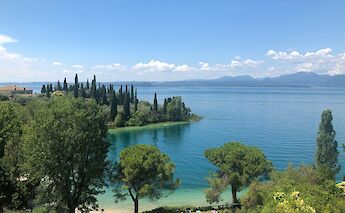 Flourishing greenery around Lake Garda, Italy. Unsplash:Marco Ghirello