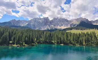 Trees around Lake Kalterersee, Italy. Unsplash:Holger Woizick
