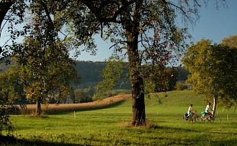 Lake Constance Bike Tour through Austria, Germany & Switzerland.