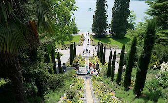 Botanical garden on the edge of Lake Constance, Austria. Unsplash:Catrina Carrigan