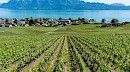 Lake Constance Classic (11-nights)