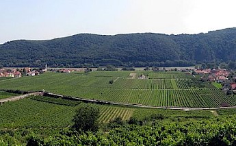 Wachau Valley in Austria! CC:Lonezor
