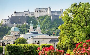 Red flowers in Salzburg, Austria. CC:TO