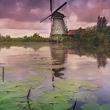 Kinderdijk, South Holland, the Netherlands. Giuseppe Brandiera, Unsplash