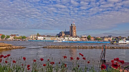 A river lined with poppies in Dordrecht, South Holland, with historic buildings and a church in the background.