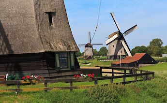 Biking Holland's beautiful countryside!