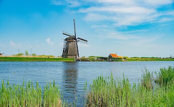 Windmills at Kinderdijk on the Amsterdam - Gouda - Bruges Bike and Boat Tour