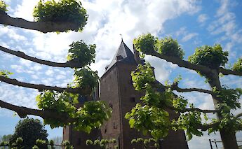 Bruges – Antwerp – Amsterdam by Bike and Boat in Holland & Belgium