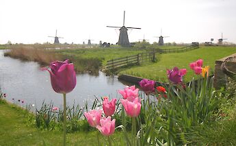 Bruges – Antwerp – Amsterdam by Bike and Boat in Holland & Belgium