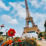 Eiffel Tower, Paris, France. Dexezekiel, Unsplash