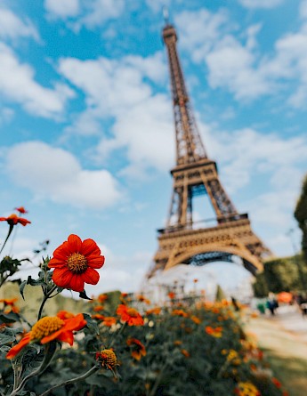 Eiffel Tower, Paris, France. Dexezekiel, Unsplash