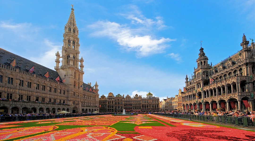 Flower Carpet event at the Grand-Place/Grote Markt, Brussels, Belgium. CC:Francisco Conde Sánchez