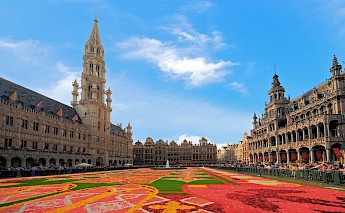 Flower Carpet event at the Grand-Place/Grote Markt, Brussels, Belgium. CC:Francisco Conde Sánchez