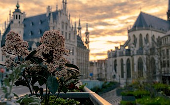Leuven, Flemish Brabant, Belgium. Thomas Bormans@Unsplash