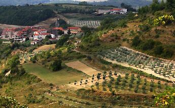 West Balkan Triangle Bike Tour through Bosnia and Herzegovina, Croatia & Montenegro