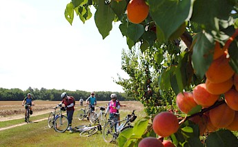 Danube River & Black Sea Bike Tour