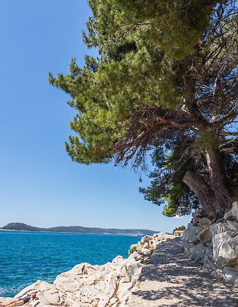 Split, Dalmatia, Croatia. Tom Bradley@Unsplash