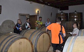Istria Croatia Bike Tour of Vineyards & Villages