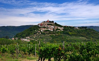 Vineyards to Motovun, Croatia. Lothar Boris Piltz@Unsplash