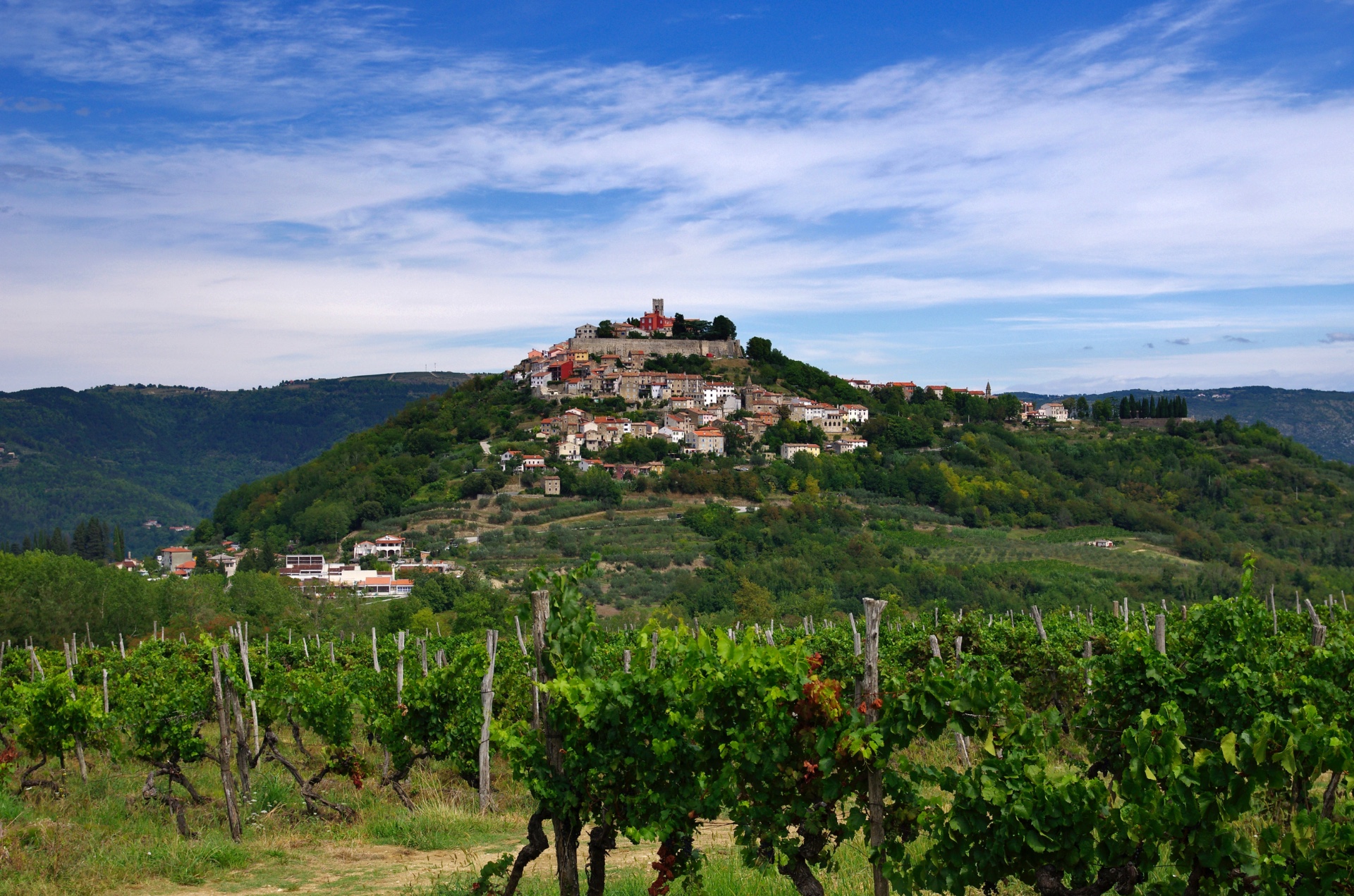 Vineyards to Motovun, Croatia. Lothar Boris Piltz@Unsplash