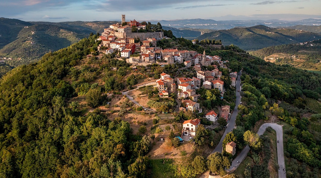The hilltop town of Motovun above Istrian vineyards