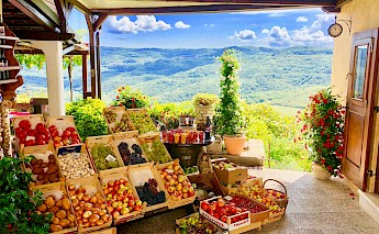 Motovun, Istria, Croatia. Jonathan Sollender@Unsplash