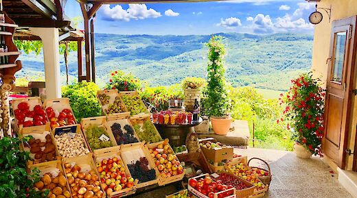 Motovun, Istria, Croatia. Jonathan Sollender@Unsplash