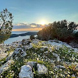 Mljet Island, Croatia. Aleksandar Vučin,@Unsplash