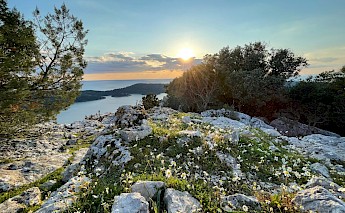 Mljet Island, Croatia. Aleksandar Vučin,@Unsplash