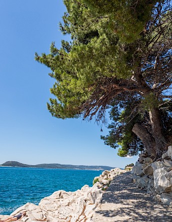 Split, Dalmatia, Croatia. Tom Bradley@Unsplash