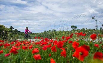 South Dalmatia Croatia Bike/E-bike & Boat